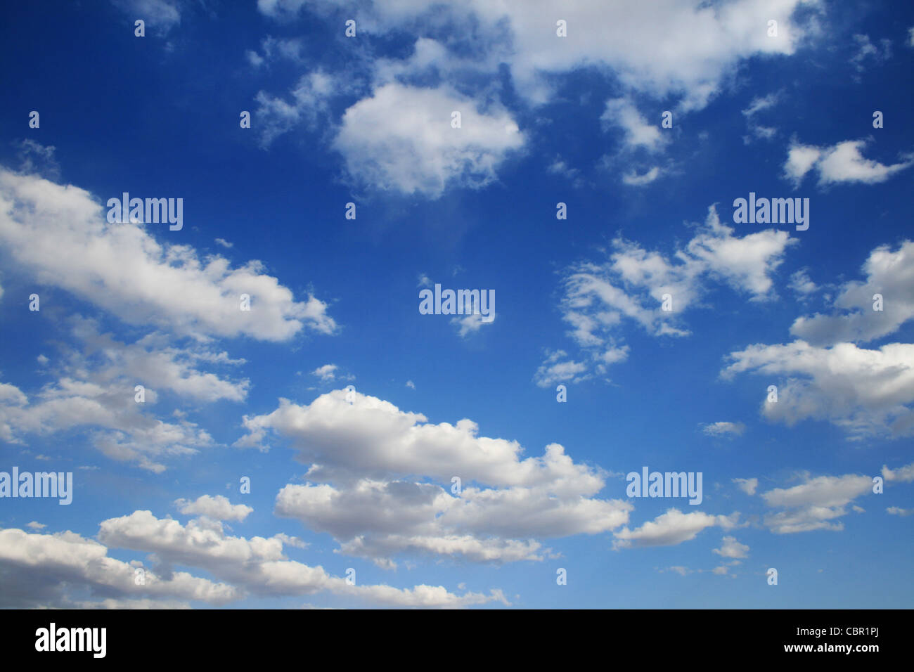 vertikales Bild des blauen Himmels mit geschwollenen weißen Wolken Stockfoto