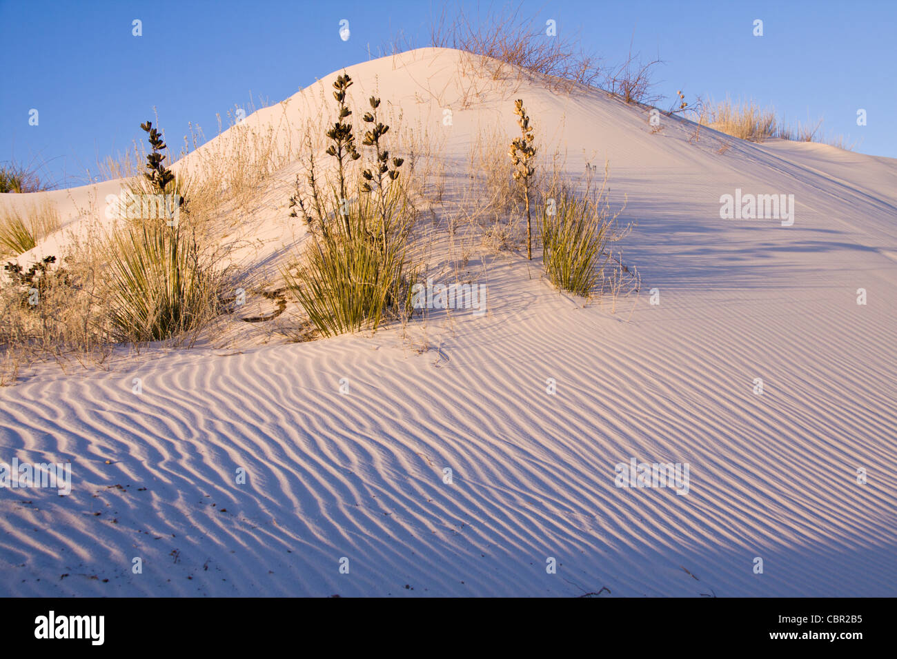 Sanddünen im White Sands National Monument in New Mexico an einem kalten Morgen im Februar. Stockfoto