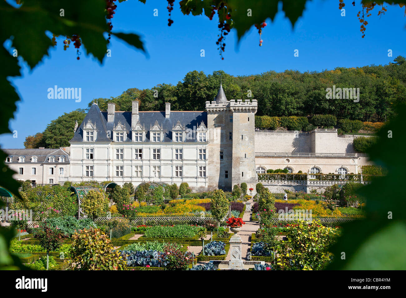 Loire-Tal, Chateau de Villandry Stockfoto