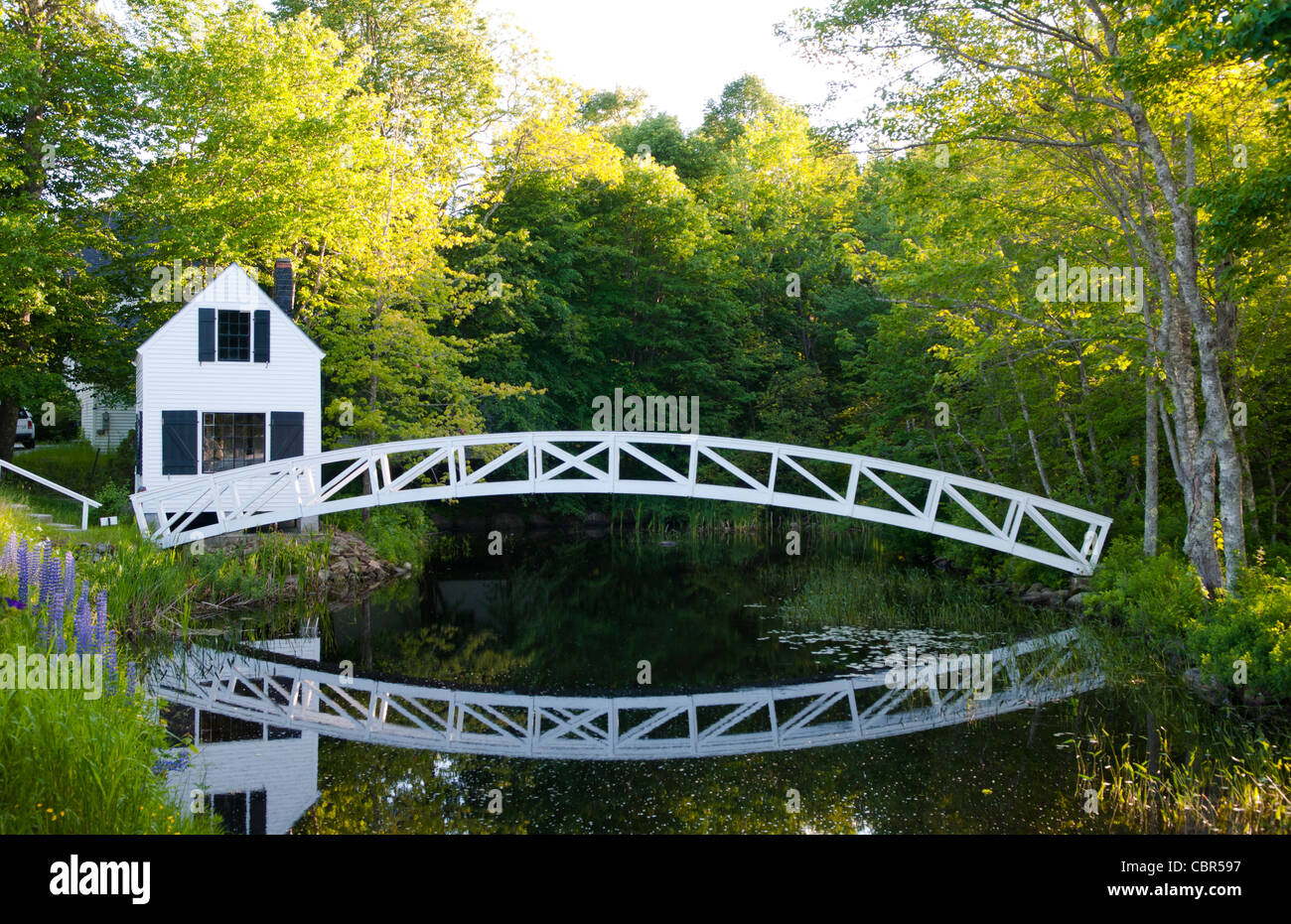Schöne einsame isoliert geschwungene Brücke über dem Wasser in Somesville Maine Stockfoto