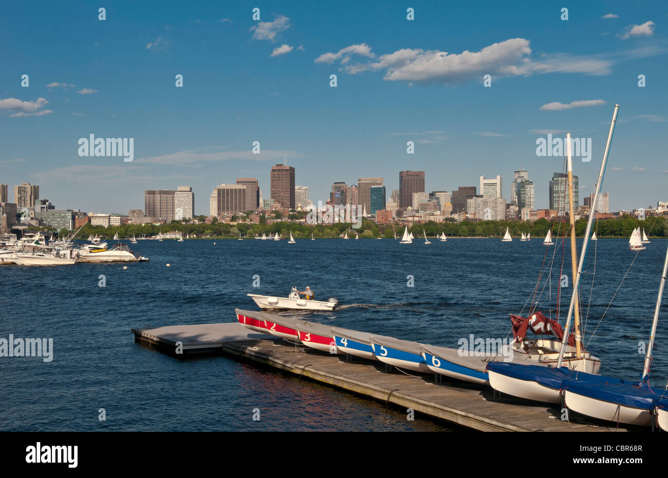 Boston MA Hafen Boote Charles River von Cambridge in Richtung Boston mit Wolkenkratzern und Ruderern auf dem Wasser Stockfoto