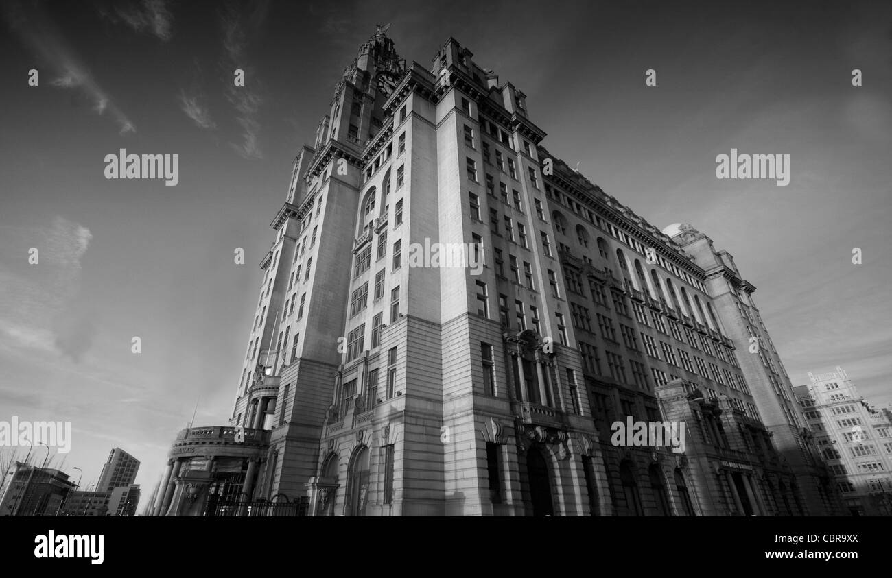 schwarz-weiß-Weitwinkel Landschaft von Liverpool Liver Building, UK Stockfoto