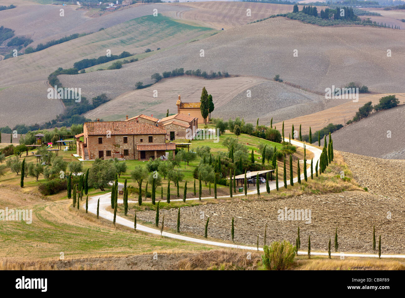 Landschaft der Crete Senesi, südöstlich von Siena, in der Nähe von Asciano, Toskana, Italien, Europa Stockfoto