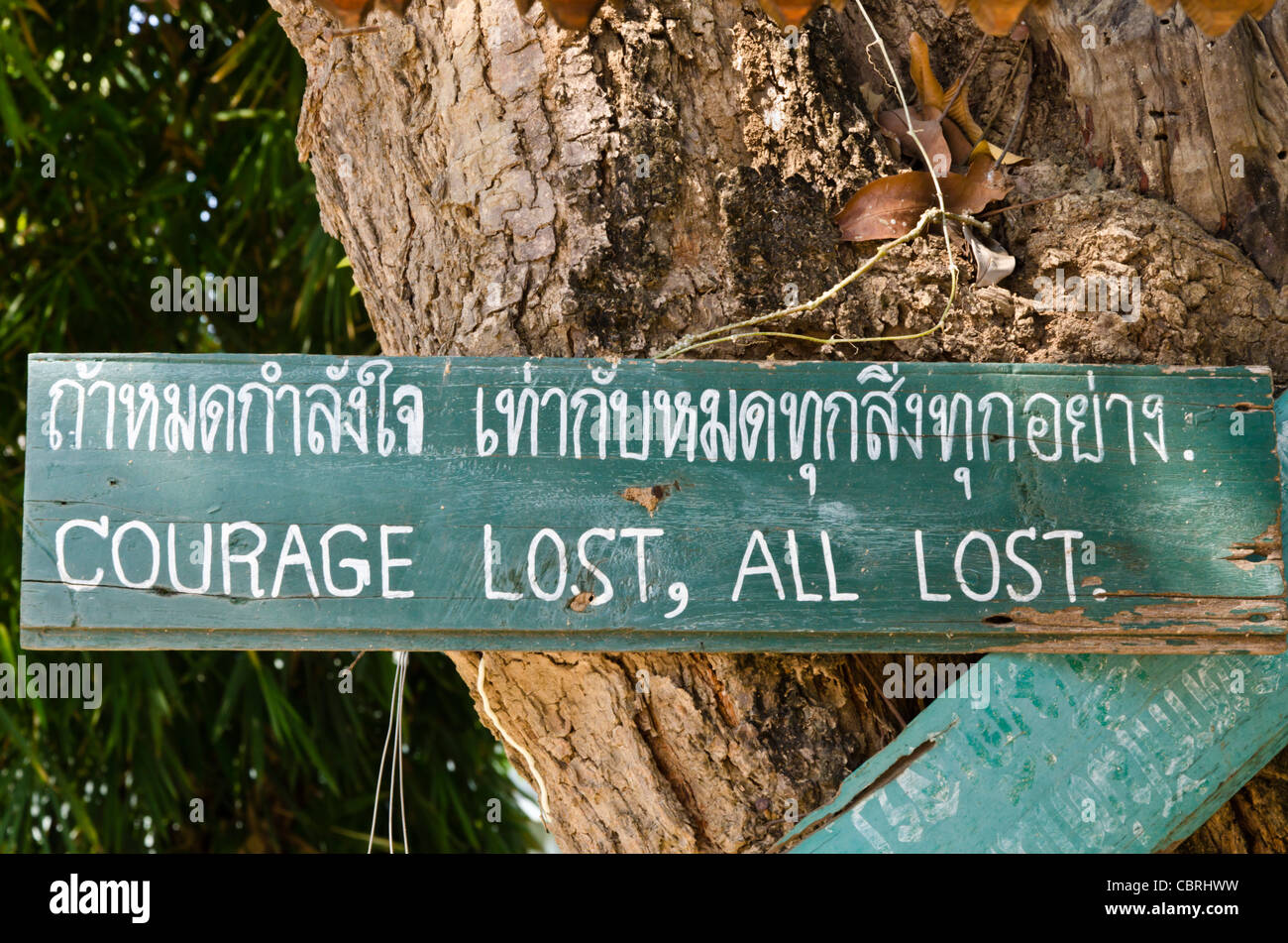 Handgemaltes Schild genagelt auf Baumstamm sagen "Mut verloren, alle verloren" in einem buddhistischen Tempel in Thailand Lamphun Stockfoto