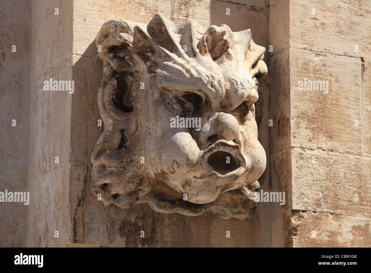 Ein Wasserspeier in Form eines Löwen in Dubrovnik, Kroatien Stockfoto