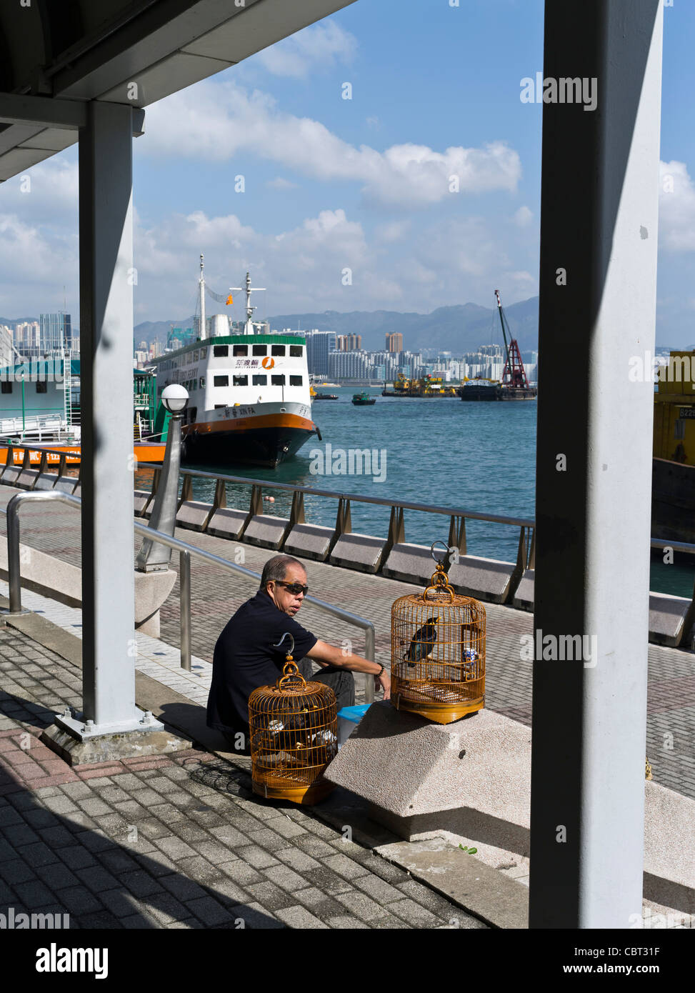 dh Wan Chai Pier WANCHAI WATERFRONT HONG KONG HAFEN Chinesisch Mann mit Vogelkäfigen Myna Vögel Käfig Person männliche Stadt Stockfoto