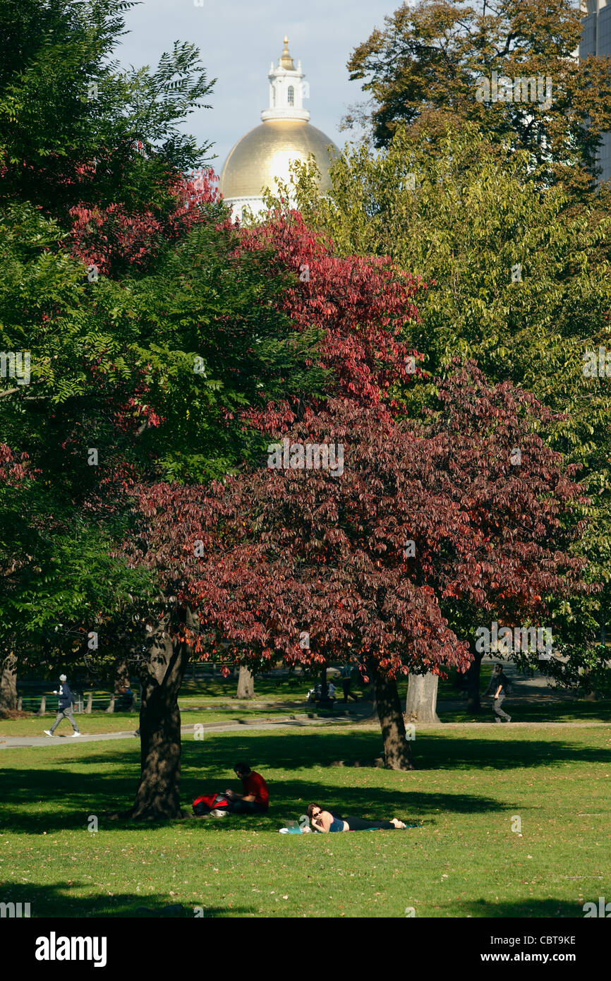 Goldene Kuppel von der Massachusetts State House, Boston Common Stockfoto