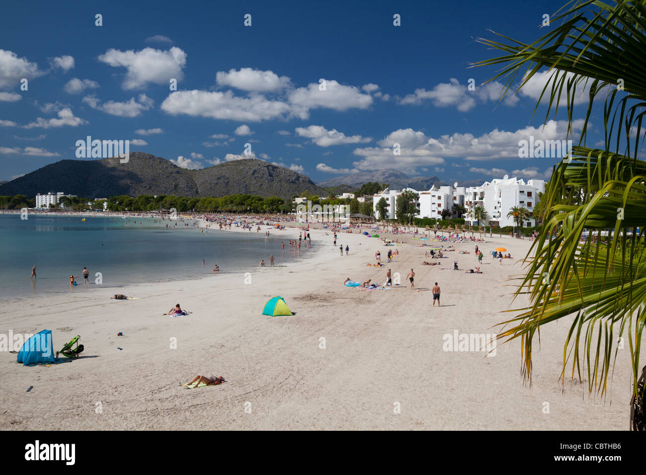 Alcudia Strand, Mallorca, Spanien, Balearen, Spanien Stockfoto