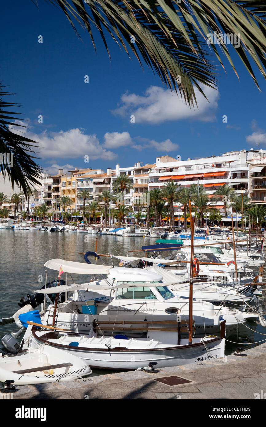 Port d'Alcudia, Mallorca, Balearen, Spanien Stockfoto