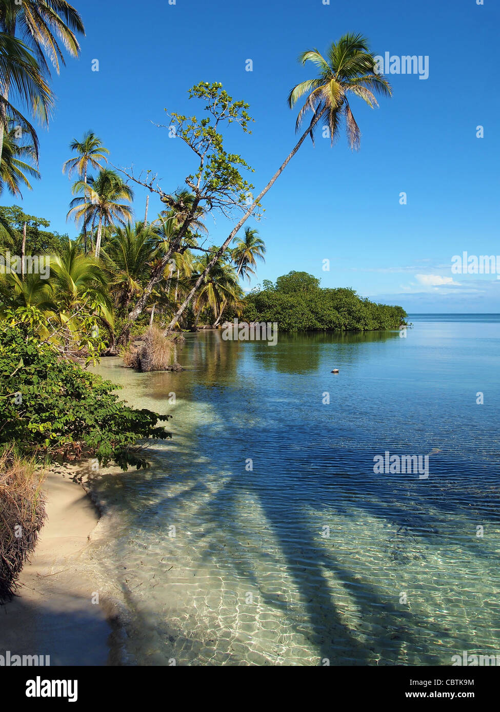Tropischen Küste mit im Schatten einer Kokospalme im Wasser, Mittelamerika, Panama Stockfoto