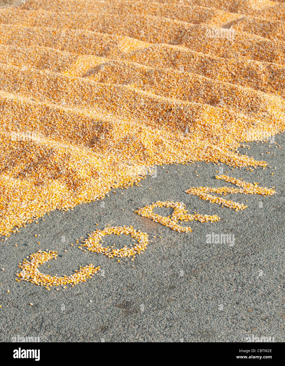 Sonne Trocknen Mais/Maiskörner in Indien auf einer Straße mit dem Wort MAIS heraus geschrieben. Andhra Pradesh, Indien Stockfoto