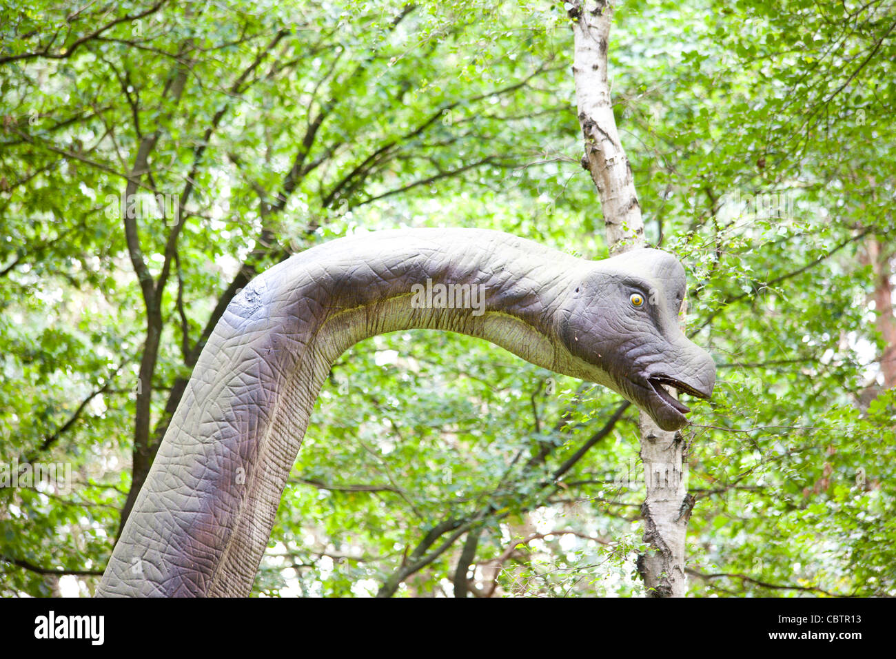 Leiter der Plesiosaurus im Wald Stockfoto