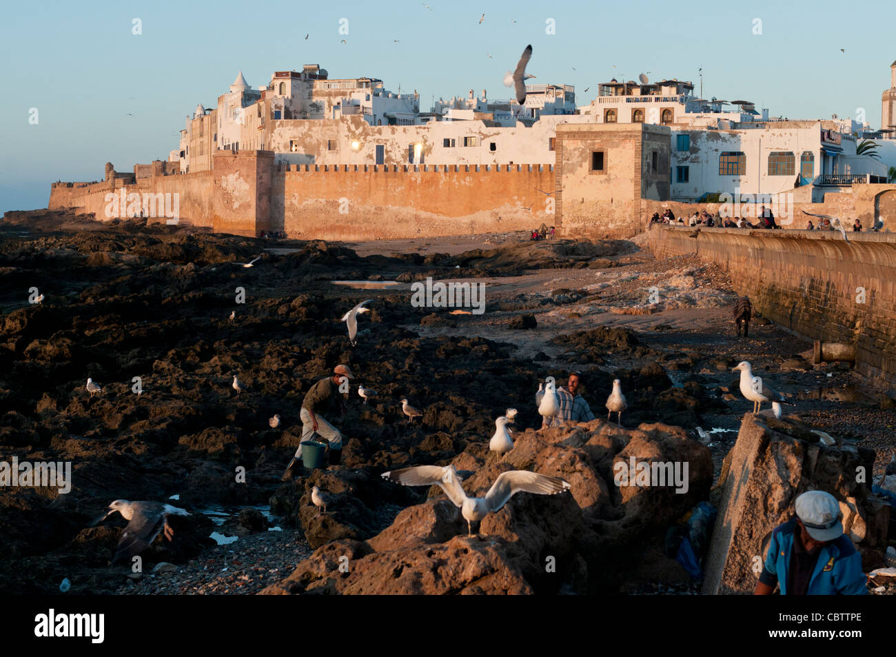 Skala De La Ville, Essaouira, Marokko Stockfoto