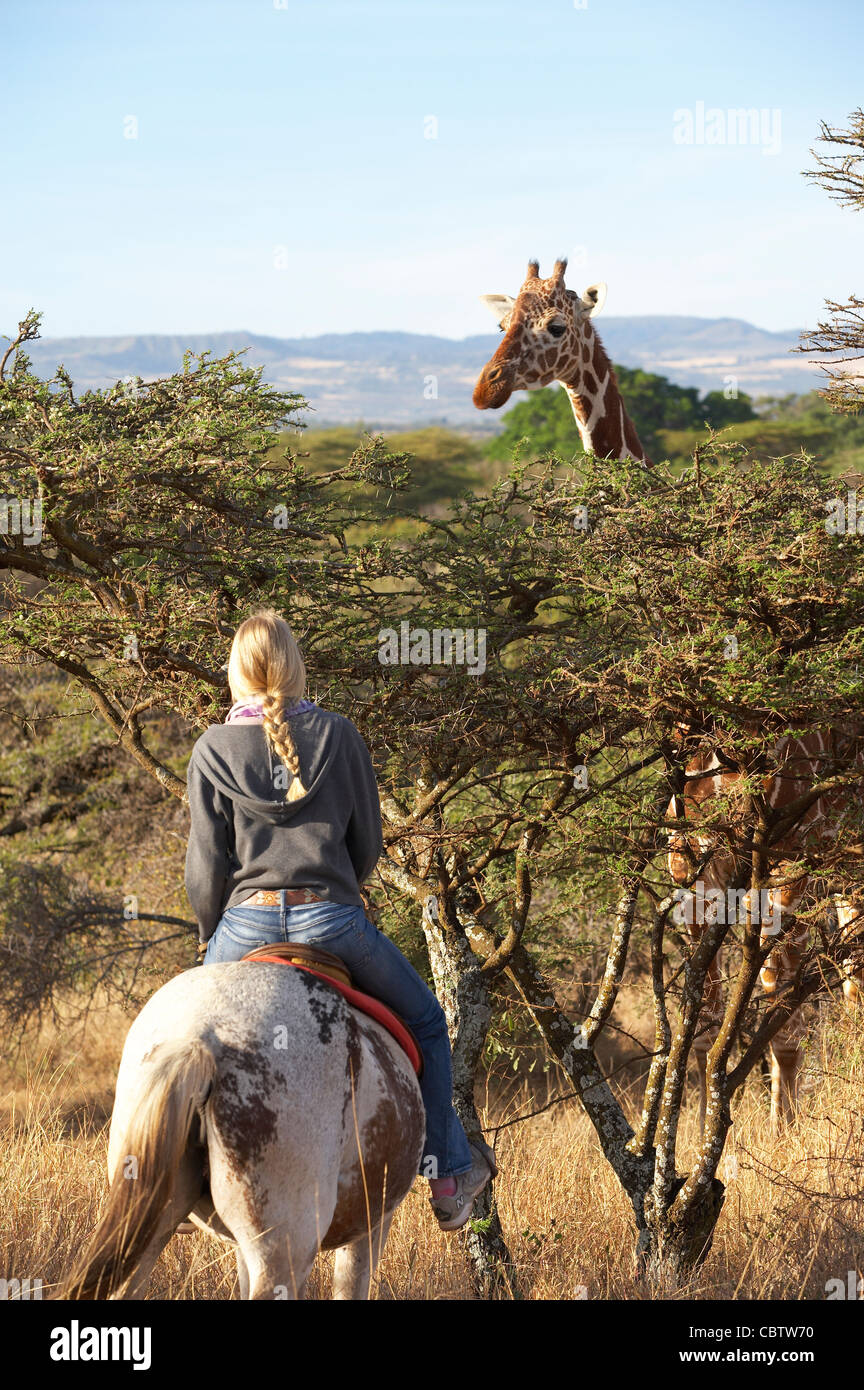 Mädchen auf einem Pferd in Kenia mit einer Giraffe Stockfoto