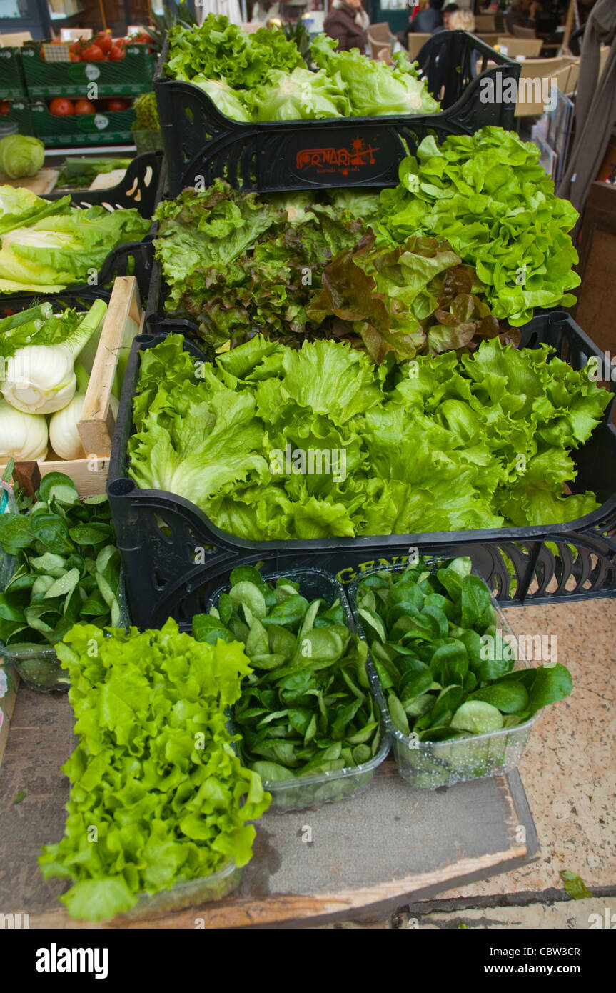 Salat-Markt am Piazza Delle Erbe Altstadt Verona Veneto Region Nord Italien Europa Stockfoto