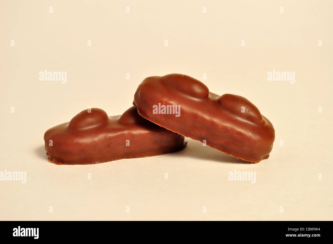 2 Stück Praline sitzen auf einem weißen Hintergrund. Stockfoto