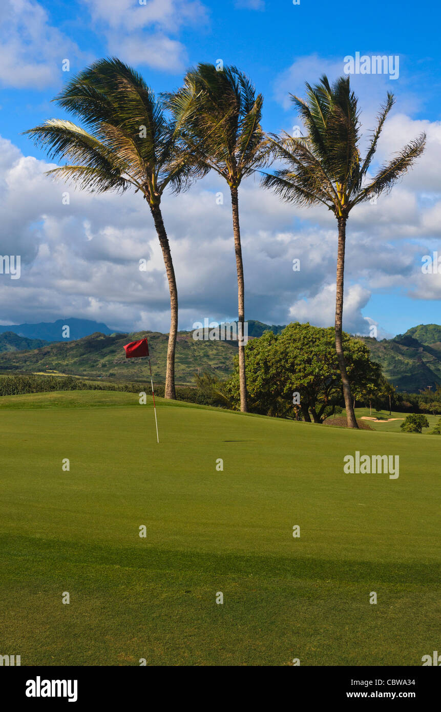 Golfplatz auf Kauai Stockfoto