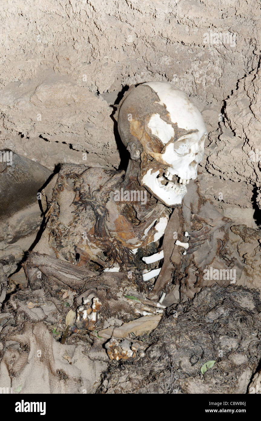 Ein Skelett in einer Nekropole in der bolivianischen Wüste Stockfoto