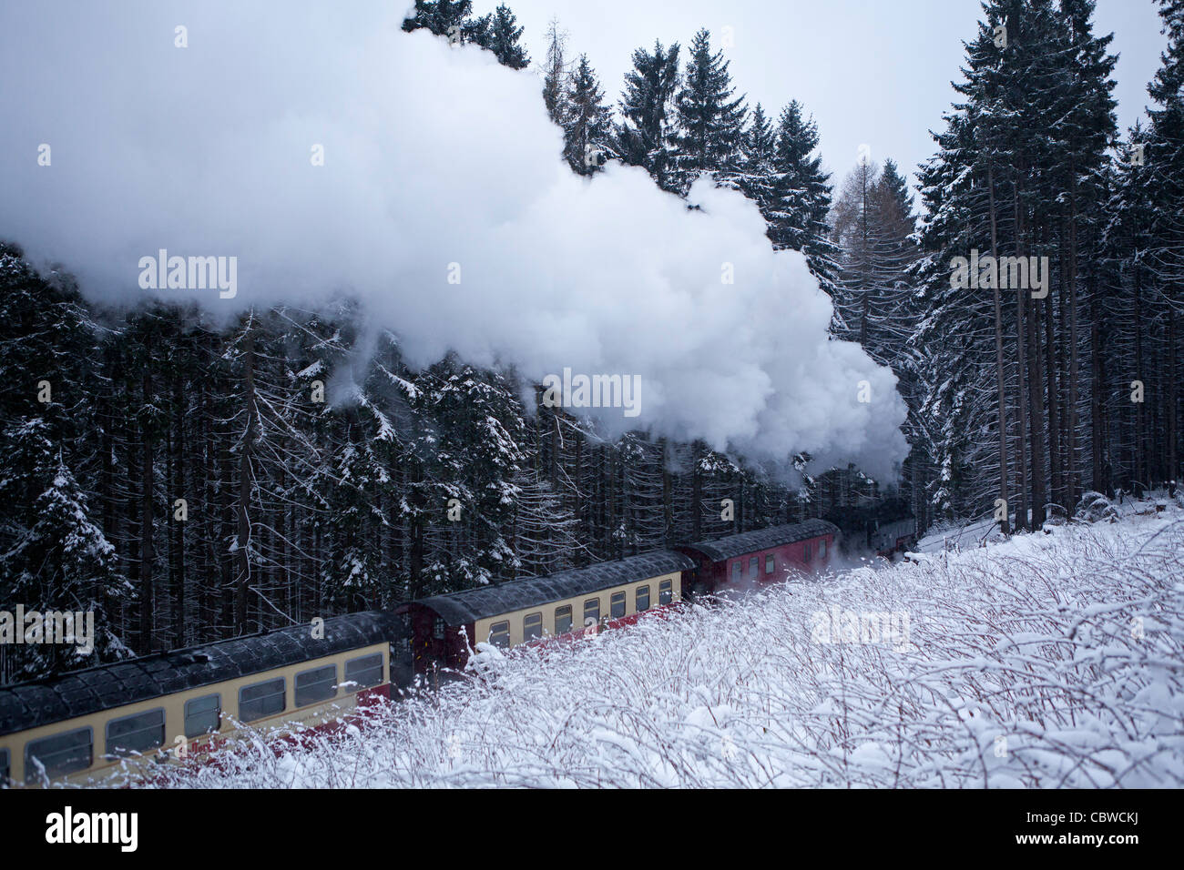 Dampfzug Brockenbahn Reisen durch die verschneite Landschaft in der Nähe von Drei Annen-Hohne, Harz Mountains, Sachsen-Anhalt, Deutschland Stockfoto