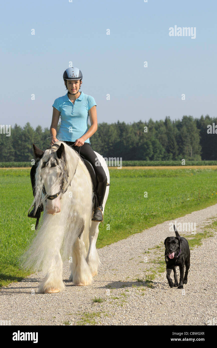 junge reiter auf der ruckseite ein irish tinker pferd wahrend der fahrt zusammen mit einem labrador hund stockfotografie alamy