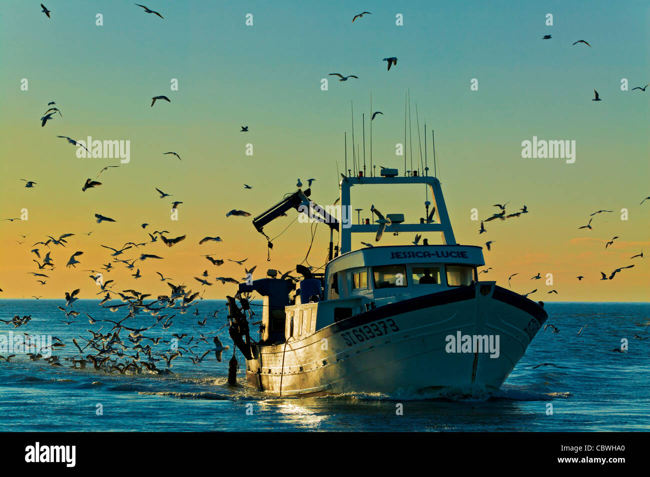 Angelboote/Fischerboote, Mittelmeers Meer, Frankreich Stockfoto