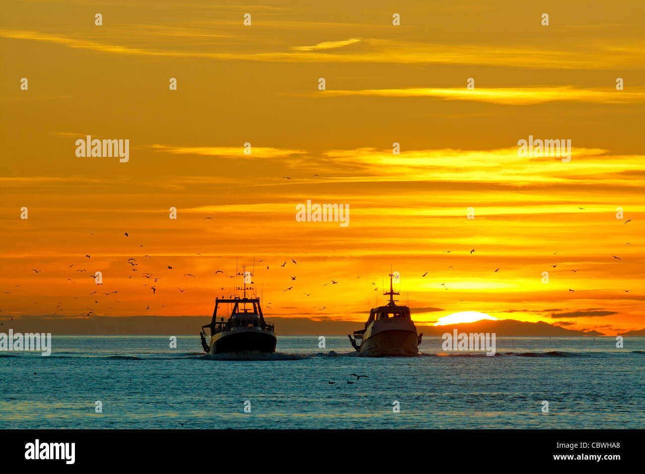 Angelboote/Fischerboote, Mittelmeers Meer, Frankreich Stockfoto