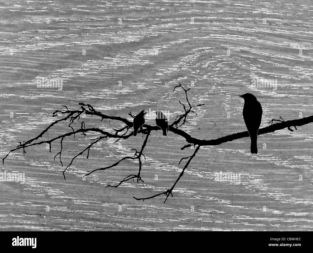 Holz-Hintergrund Stockfoto