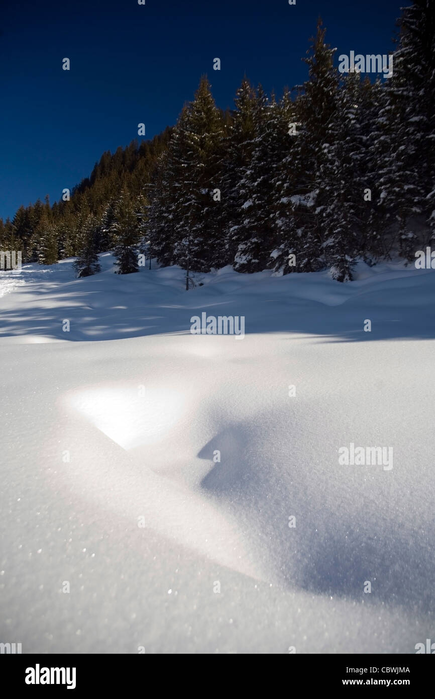 Snow Drift am Rande des Waldes in Kitzbühel Österreich Stockfoto