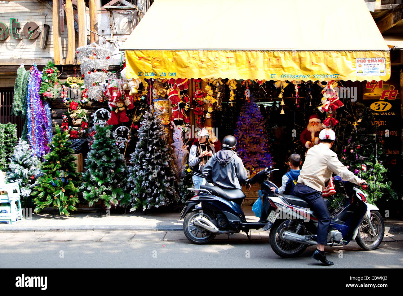Weihnachtsbäume in Shop, Altstadt, Hanoi, Vietnam, Asien Stockfoto