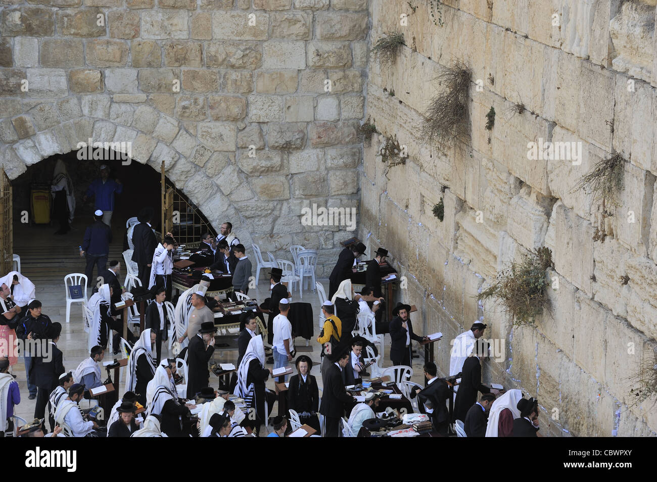 Orthodoxe Juden beten an der Klagemauer Jerusalem Israel Stockfoto