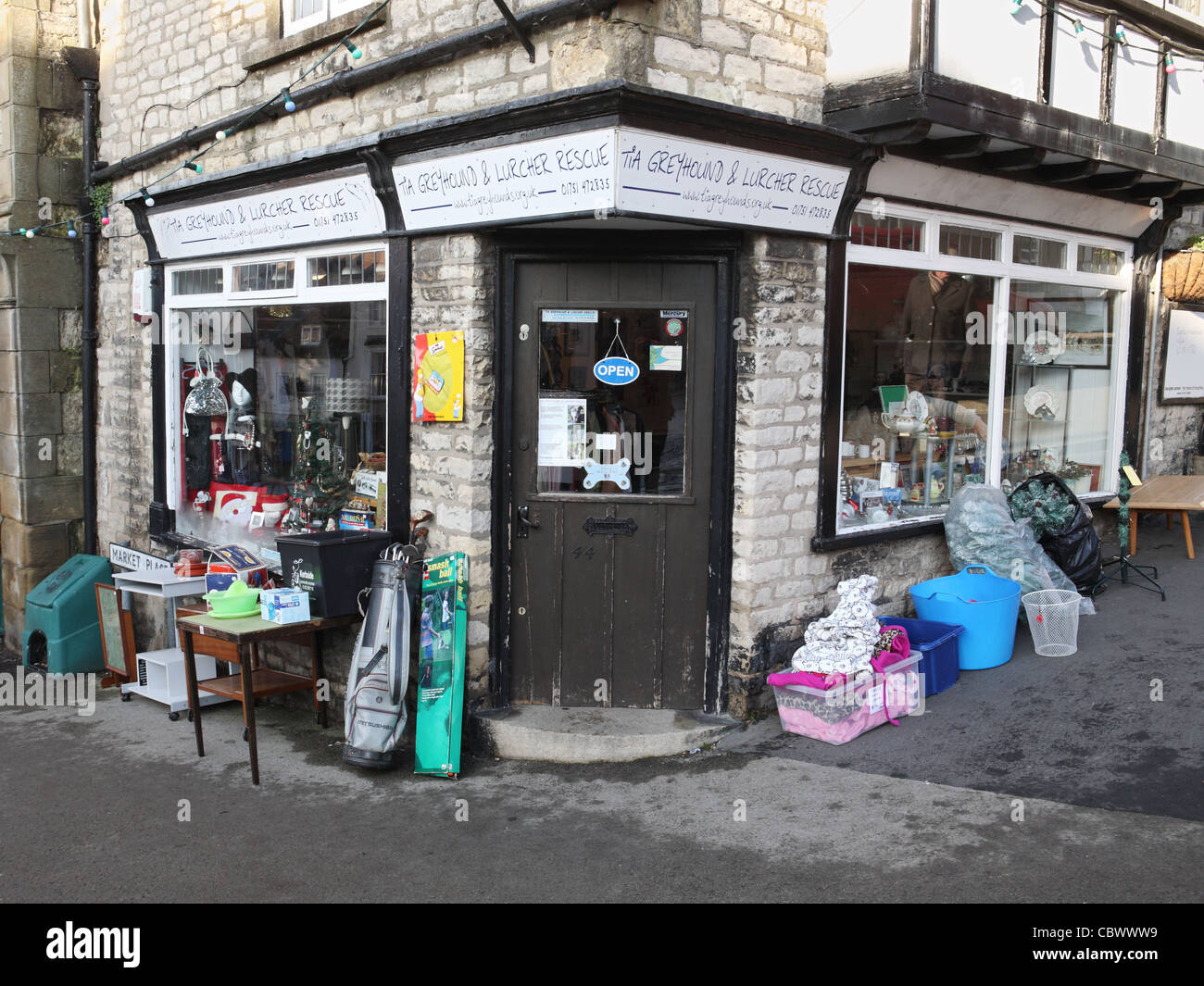 TIA Greyhound und Lurcher retten Charity-Shop Pickering Yorkshire England UK Stockfoto