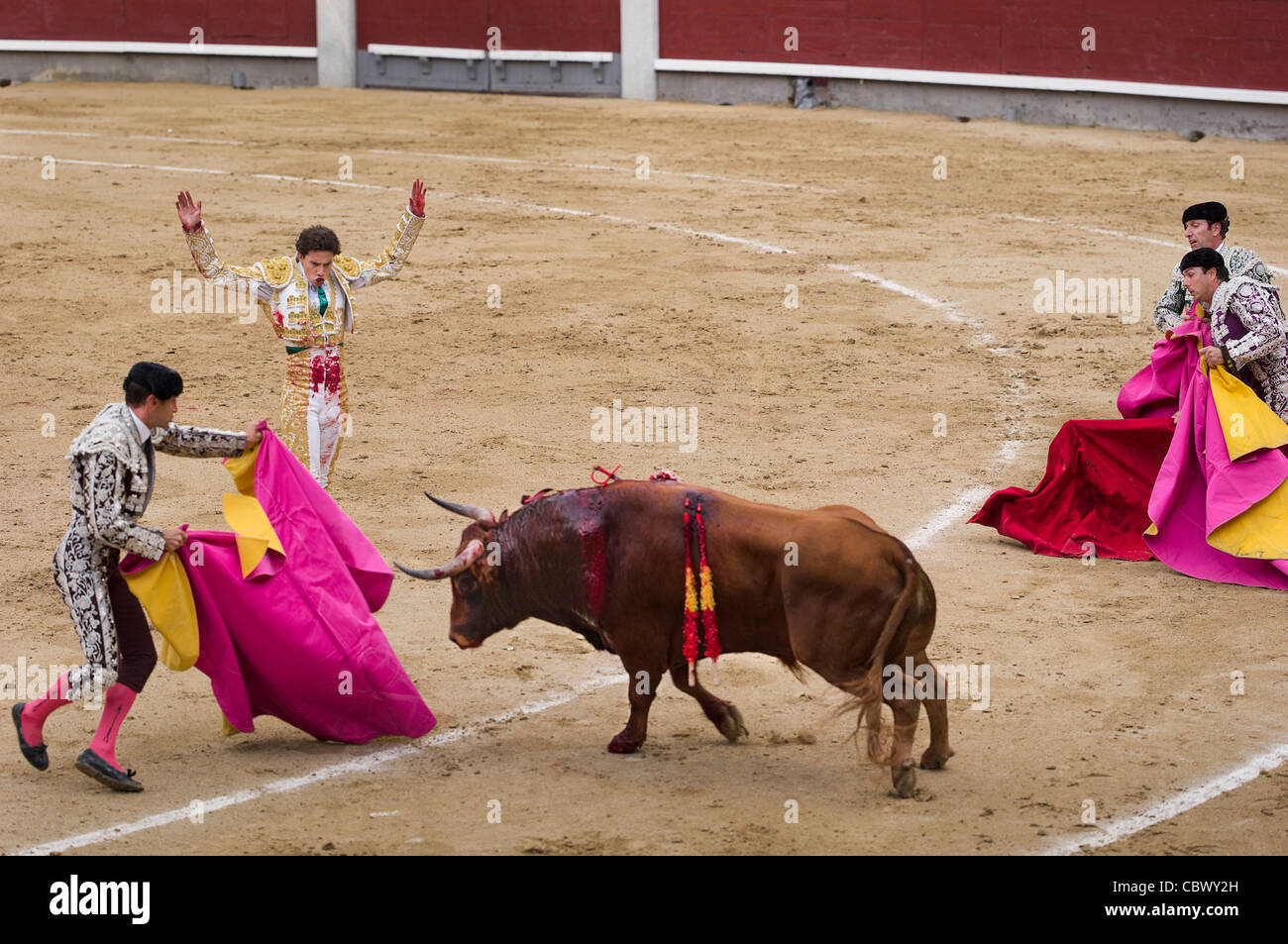 STIERKAMPF-CORRIDA-MADRID-SPANIEN Stockfoto