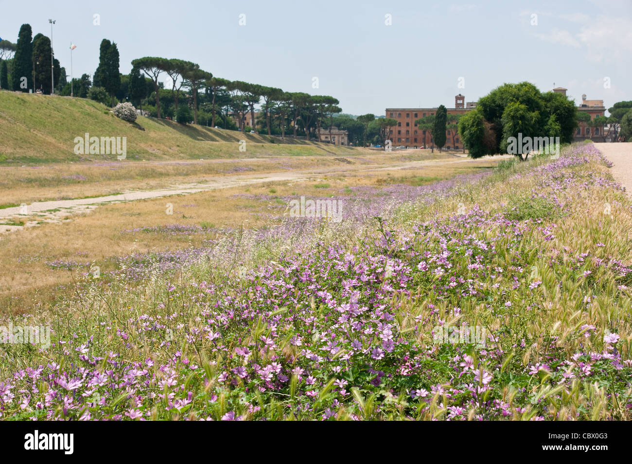 Circo Massimo, Rom Stockfoto