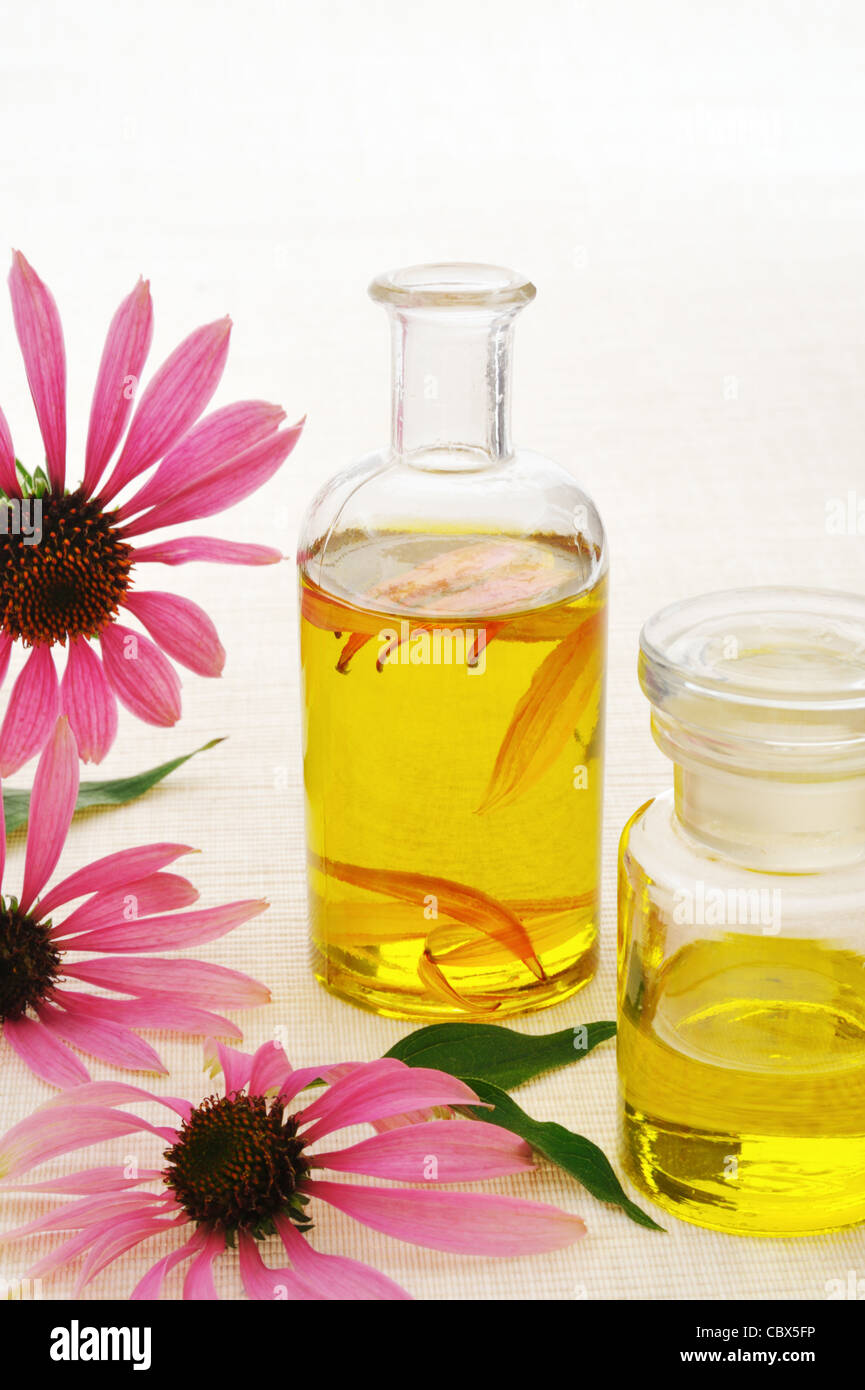 Sonnenhut ätherisches Öl in der Flasche - homöopathische Medizin - Stillleben Stockfoto
