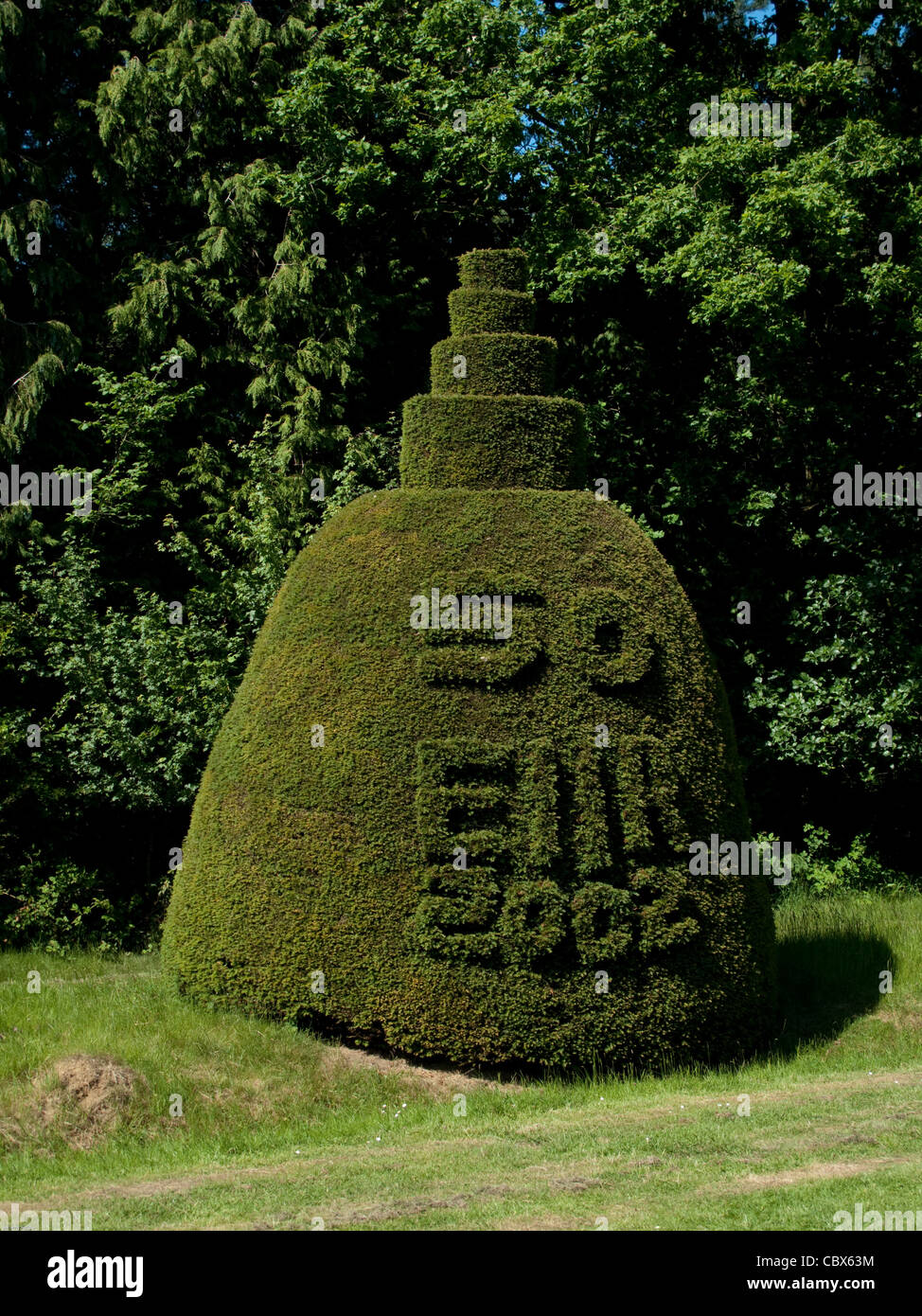 Eibe Baum Hecke Stockfoto