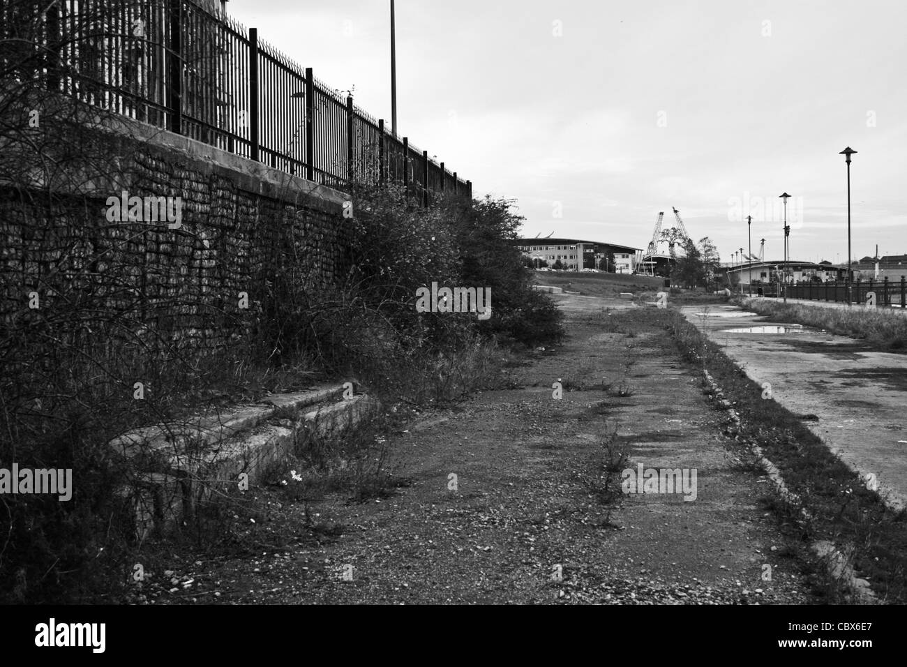 Stillgelegte, Natur beanspruchten Fläche von Sunderland Stockfoto