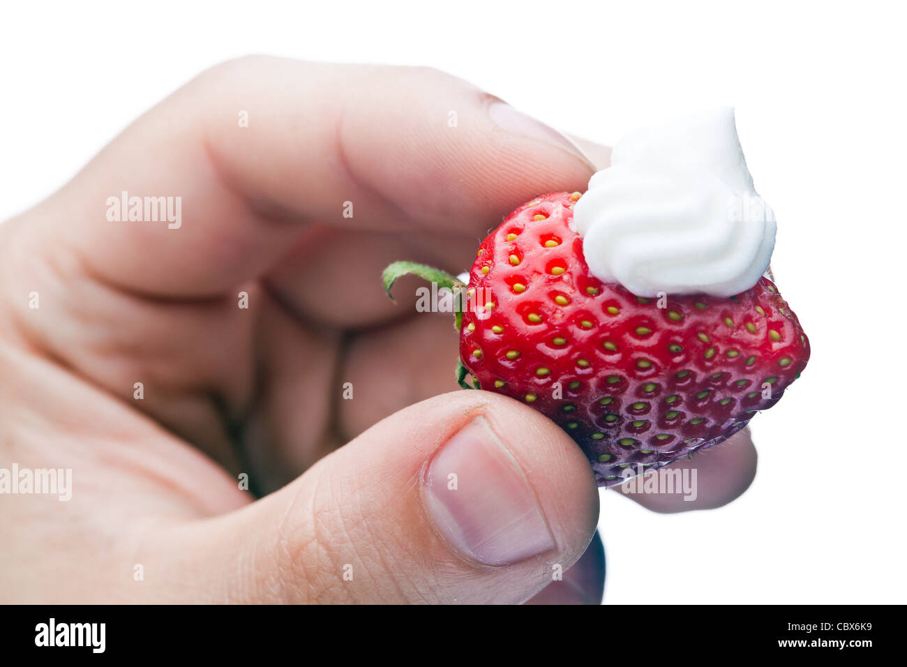 Erdbeeren mit Sahne in der Hand, isoliert auf weiss Stockfoto