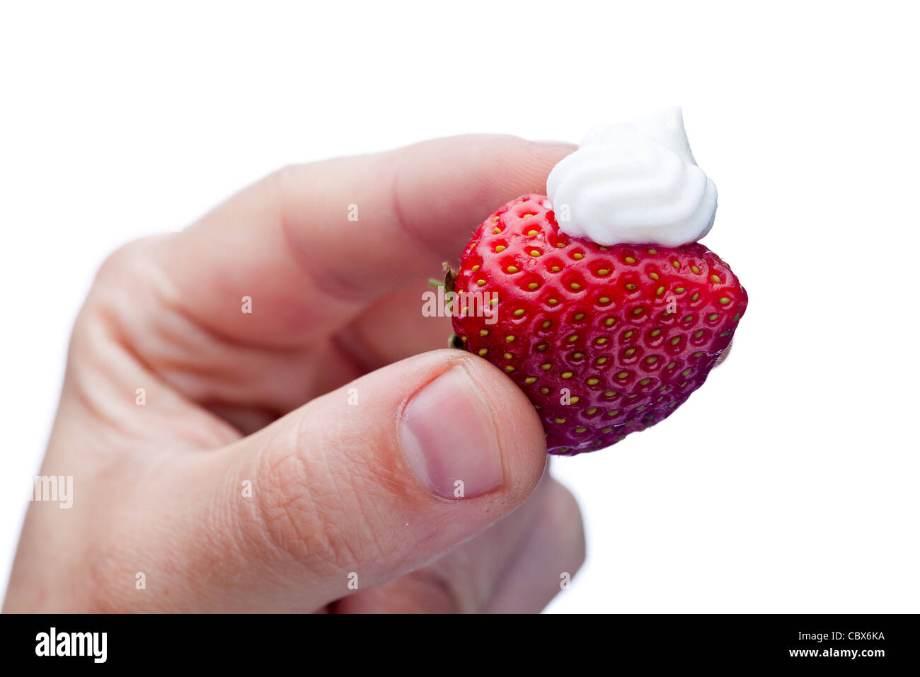 Erdbeeren mit Sahne in der Hand, isoliert auf weiss Stockfoto