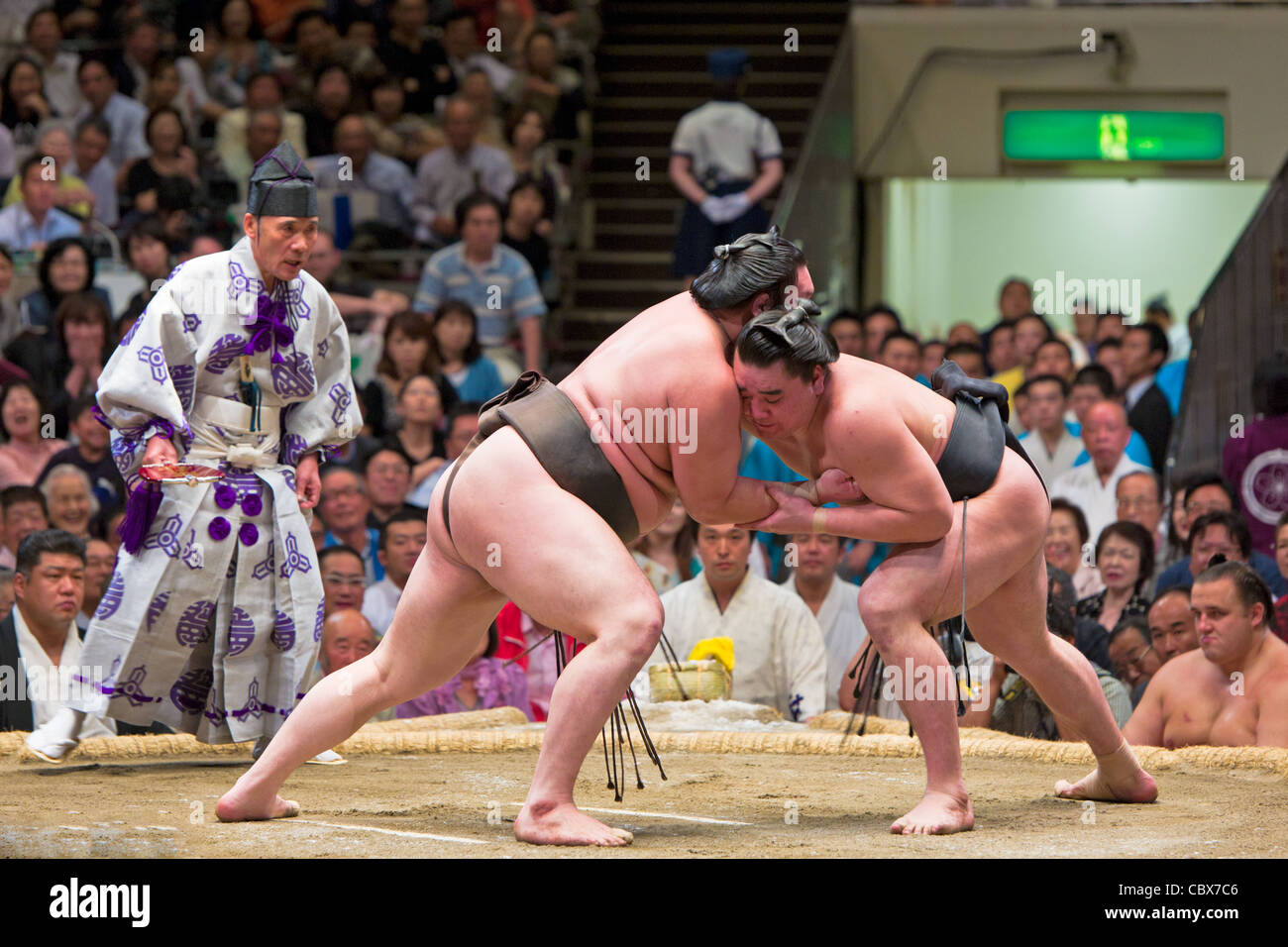 Sumo-Ringer in einem Kampf - Ryogoku Kokugikan, Tokyo, Japan Stockfoto