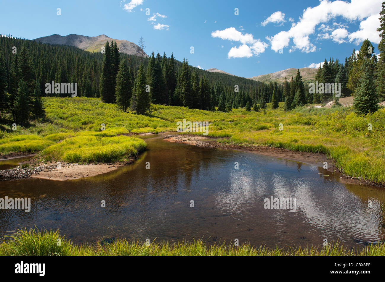 Kreide Creek entlang der vier-Rad-Antrieb Tincup Passstrasse, Chaffee County, Colorado Stockfoto