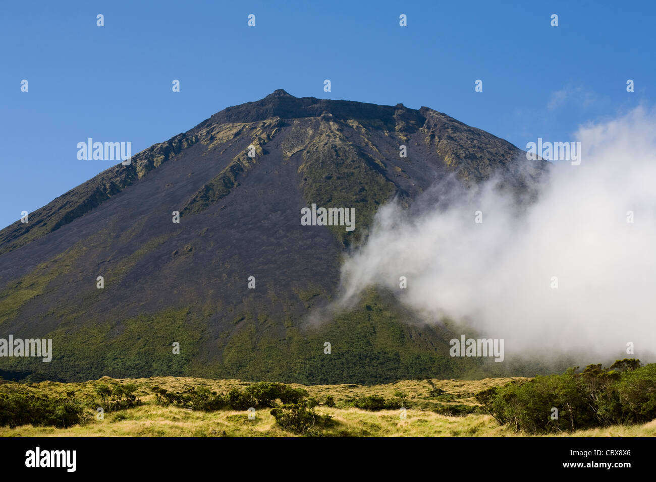 Berg der Pico aus dem Nebel auf der Insel Pico, Azoren Stockfoto