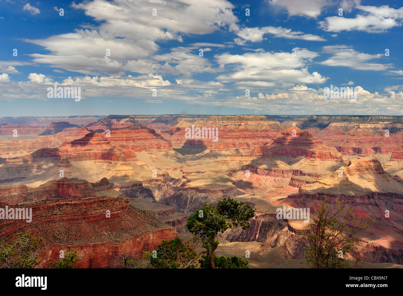 Der Grand Canyon Stockfoto