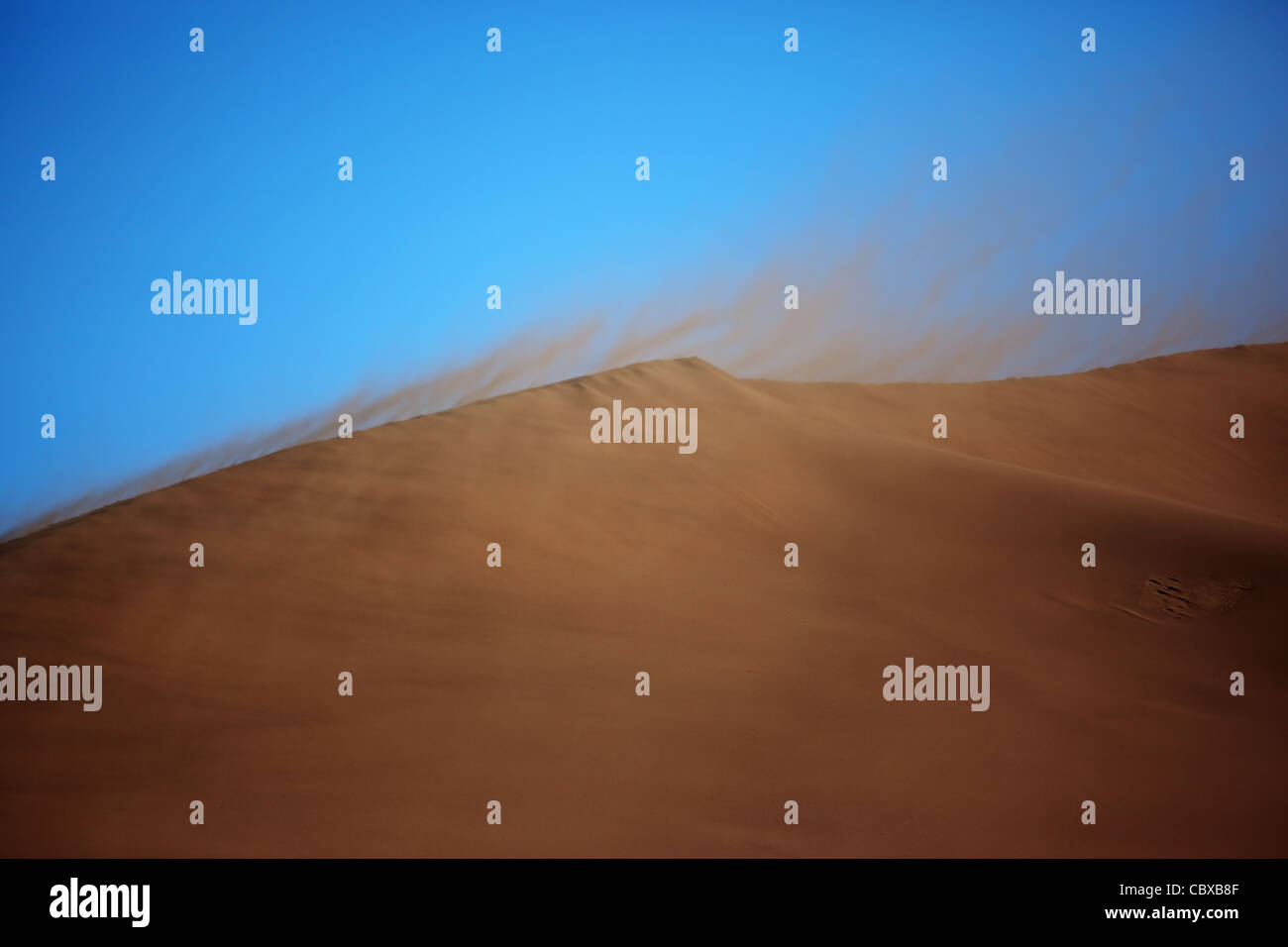 Sandsturm in der Wüste Stockfoto