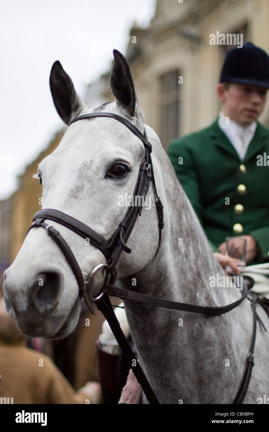 Die Heythrop Hunt am Boxing Day treffen in Chipping Norton Stockfoto