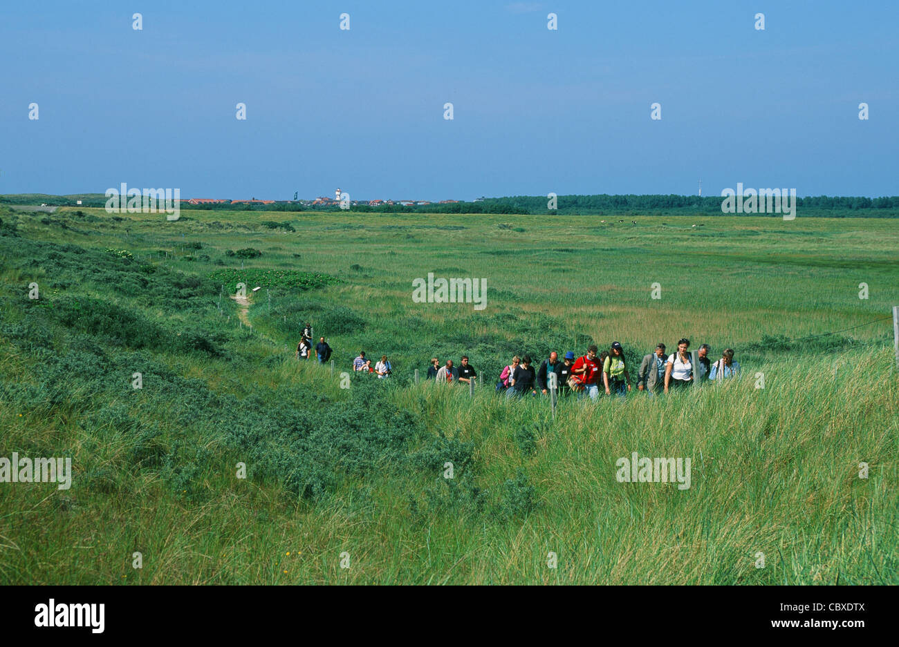 Wanderweg im Küsten-Naturschutzgebiet NSG Flinthörn auf der Ostfriesischen Insel Langeoog im deutschen Wattenmeer Stockfoto