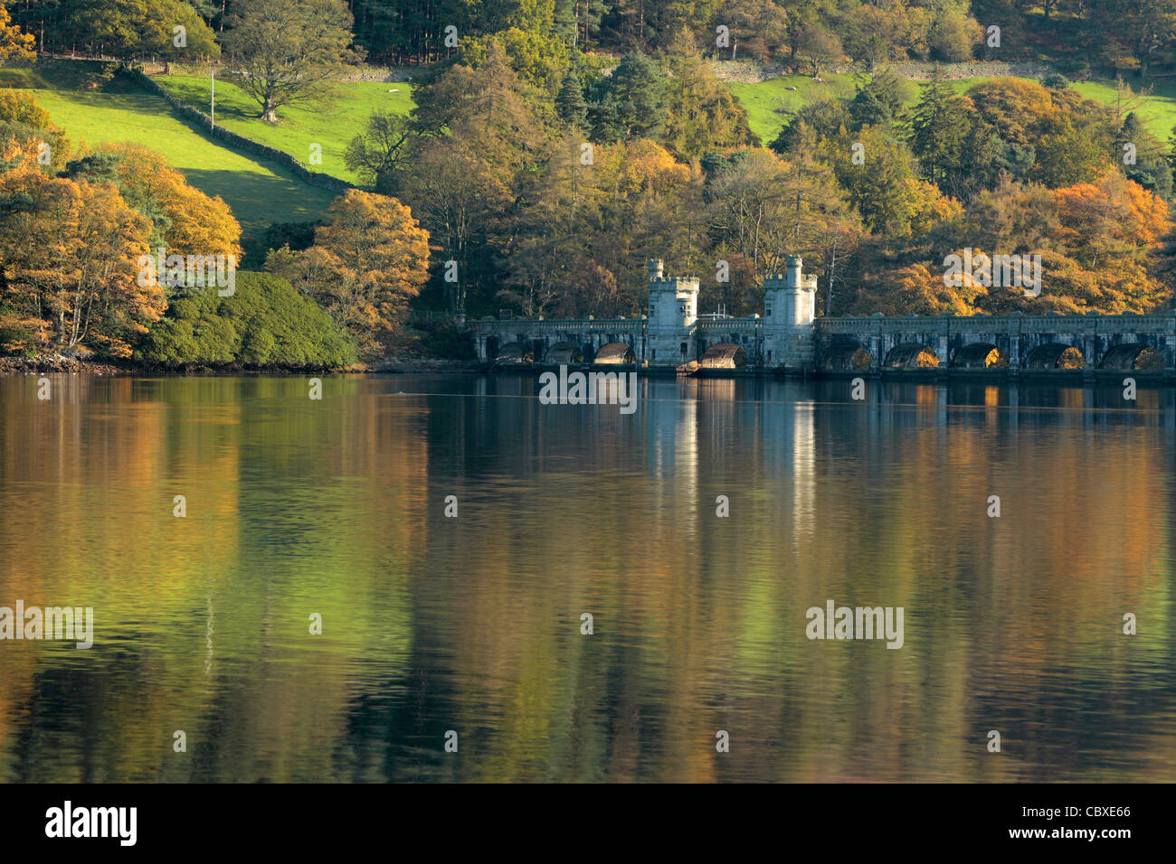 Herbstfarbe spiegelt sich in der Gouthwaite-Stausee in der Nähe von Ramsgill und Pateley Brücke in Nidderdale, Yorkshire, England Stockfoto