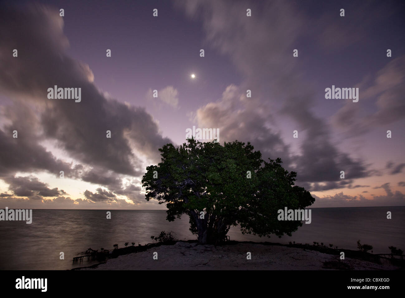 Nacht und Dämmerung Licht am Annes Beach, Roman Taste, Islamorada, Florida, USA Stockfoto