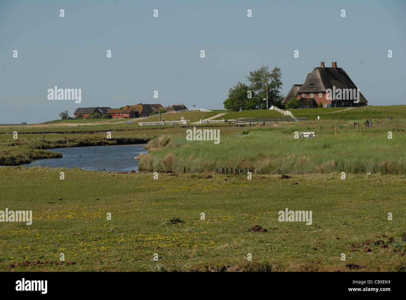 Auf der winzigen Insel von Hallig Hooge in Nordfriesland Wattenmeer, alle Häuser ruht auf tönernen Dämmen um die Überschwemmungen zu verhindern Stockfoto