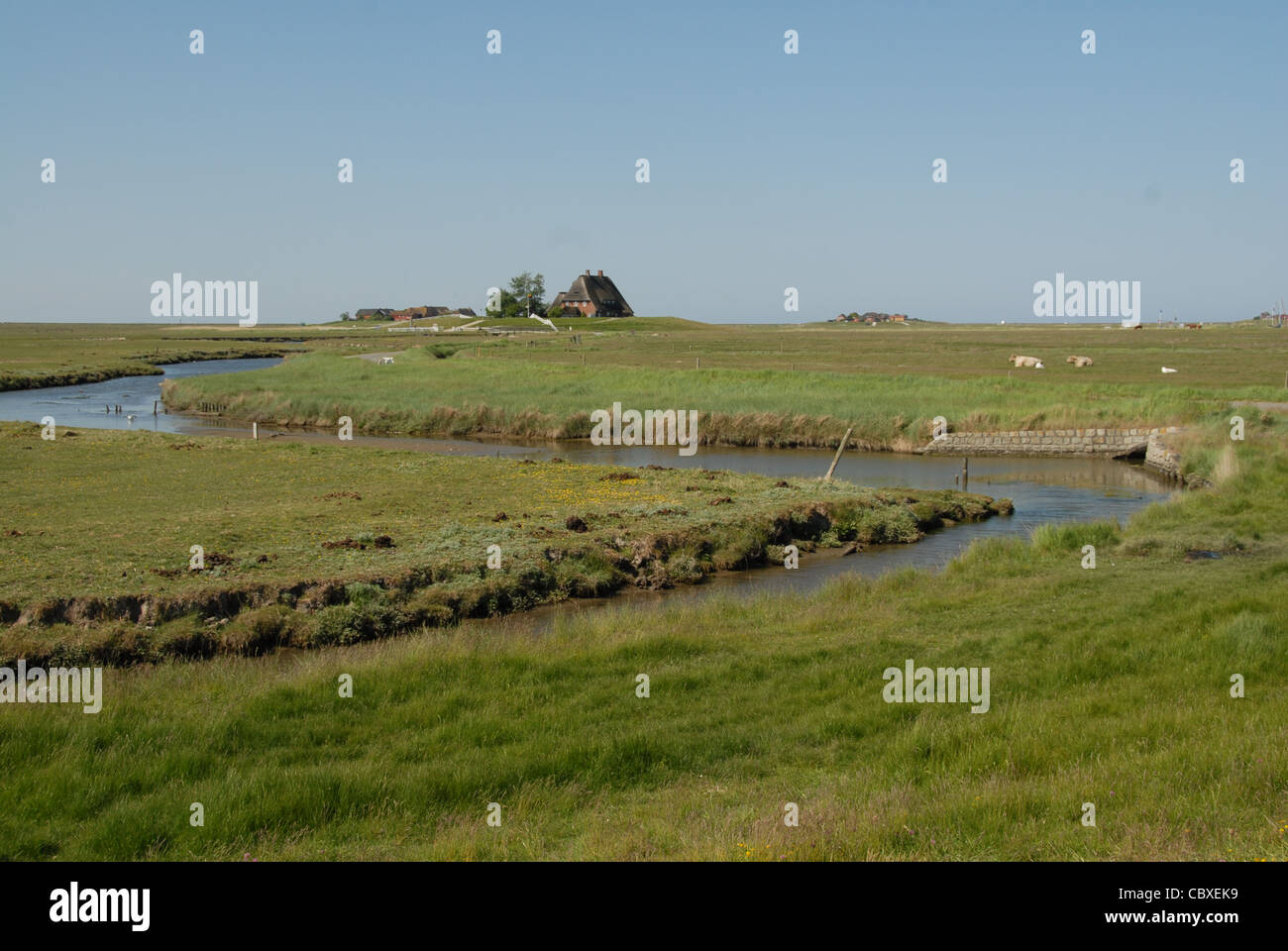 Auf der winzigen Insel von Hallig Hooge in Nordfriesland Wattenmeer, alle Häuser ruht auf tönernen Dämmen um die Überschwemmungen zu verhindern Stockfoto