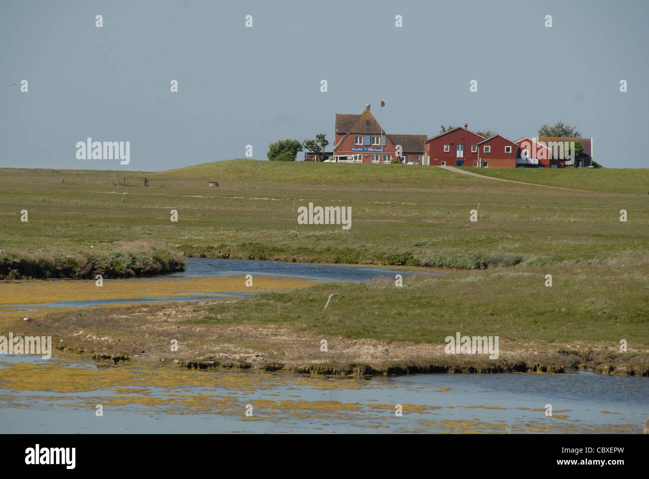 Auf Hallig Hooge, einer kleinen Insel in der Wadden Meer von Nordfriesland, sind alle Häuser auf künstlichen irdenen Grabhügel genannt Warft errichtet. Stockfoto